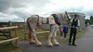 Horse Drawn Barge 1/3 - fetching the horse