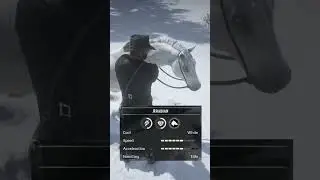 ALL LEGENDARY ARABIAN HORSES Location #rdr2 #gaming #funny #shorts