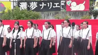 20160716 灘・夢ナリエ