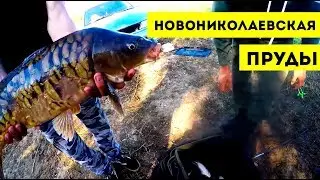 BARRAKUDA show - Тизер со съемок с прудов ст. Новониколаевская