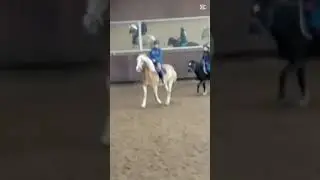 Vndg weer lekker rijden ik ga stal vlog doen💋 #horse