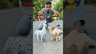 2 Ta Rc Deer 🦌 remote wala Camel 🐪