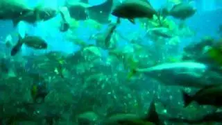 MOV00932