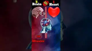 Brain Vs Heart ⚡ #shorts #ytshorts #dil #dimag