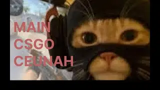 MAIN CSGO CEUNAH