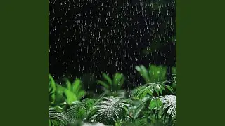 Beyond the Silence (Rain)