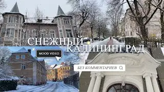 Снежный Калининград. Видео-настроение. Без комментариев | Snowy Kaliningrad. Mood video. No words.