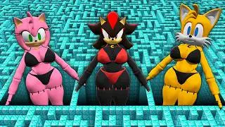 I found a SONIC AMY vs SONIC TAILS in Minecraft ! What's INSIDE the DIAMOND MAZE with SONIC SHADOW ?