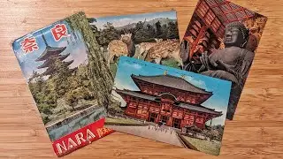 I  travelled for FREE !!