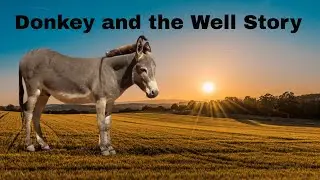 Donkey and the Well Story: Move to the Solution!