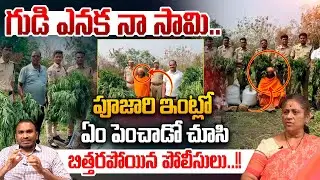 Sangareddy Temple Priest Drugs Cultivate: గుడి ఎనక నా సామి..! | Social Activist Krishna Kumari | WWT