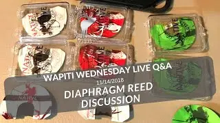 Elk Call Differences | Wapiti Wednesday Q&A - Episode 41