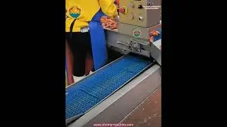 Shrimp machine, shrimp processing, shrimp sorting, prawn processing line