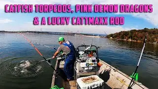 Pink Demon Dragons & Luck