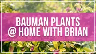 Bauman Plants at Home with Brian