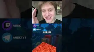 сюрприз от кошек  #anek  #чилл #твичстрим #story #twitch #юмор  #streamer