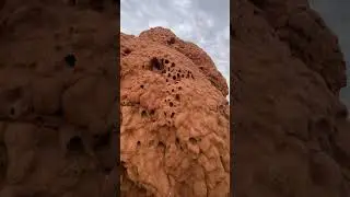 Australia Termite Mound - Cape Range National Park - what a delight! #travel #wa #wildlife