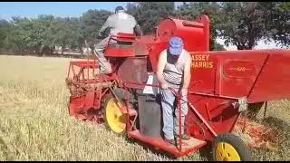 massey harris 630 trebbiatura 2020