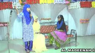 Riakari Drama (in Urdu)