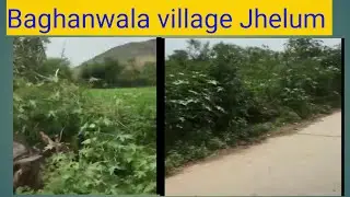 Baghanwala village Jhelum | most beautiful baghanwala village Jhelum | baghan Wala village Jhelum.
