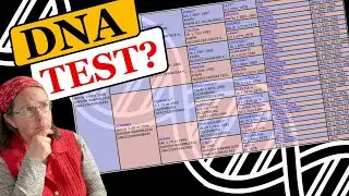 Тестирование ДНК лошадей: объяснение | Реальность проверки отцовства