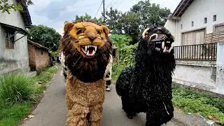Rekaman hp tuan rumah . atraksi drumband & macan balakek hamdians 