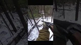 Locked on Target: My Fox Hunting Journey