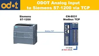 Odot C Series || Collect data Analog Input with Odot CN-8031 to PLC Siemens S7-1200