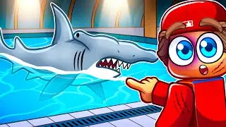 On a NAGÉ avec mes FANGIRLS dans Une Piscine infectée de REQUINS !