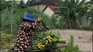 Episode 01- The beauty of Rural Life in Cambodia | ស្រុកស្រែធម្មជាតិ