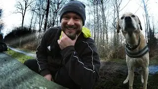 TEST: GOPRO FETCH HUNDEGESCHIRR mit GoPro Hero 9 und Rocky
