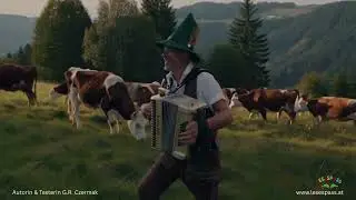 Wo is mei Zensi?