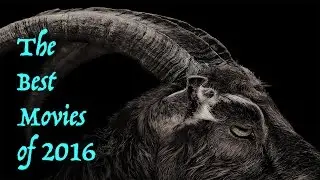 The Best Movies of 2016