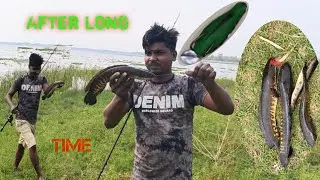 After Long Time Fishing Video ll Amazing Fishing ll Cobra fishing ll Maral Fish ll Sol Fishing ll 🦦🎣