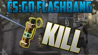 CSGO Flahbang Kill... Boss ;)
