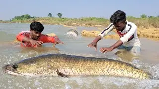 Unbelievable 2 boys catching Big Shoal fish By hand in Riverwater. Unique fishing with bare hands.