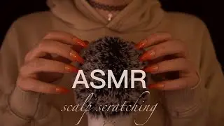 ASMR | pure Scalp Scratching - no talking, mixed pace, fluffy blue yeti
