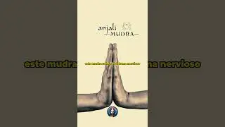 &iquest;Por Qu&eacute; Todos Usan Este Gesto para Rezar? (Tiene un Poder Secreto) 🕊️👐#mudras #gratitud #nadis