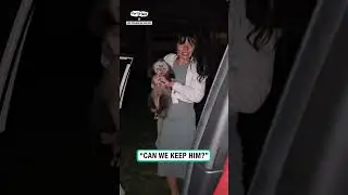 Would you let your girlfriend keep an Opossum 😂       🎥:  Amy Adelman via ViralHog