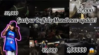 Gazipur mandi! Aaj soda Nahi hua🥹! Part 1 Gazipur buffalo Mandi!….