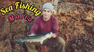 Fishing Crew Malta 2020 Review ( Labudowsky Upload ) #fishing #fish #nature #wildlife #bigfish