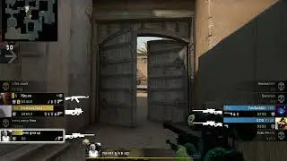 Awp atheris