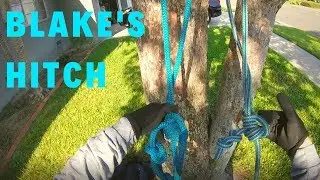 Blake's Hitch: Clockwise? or Counter clockwise?