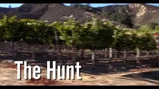 The Hunt: An Insider's View into How The California Wine Club Came To Be