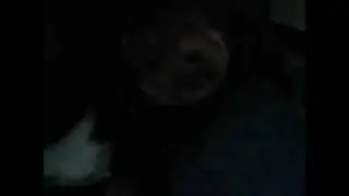 Bella Bear Snoring