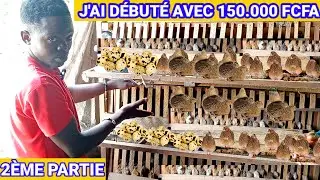 Comment a t'il utilis&eacute; 150.000 FCFA pour d&eacute;buter son &eacute;levage de cailles