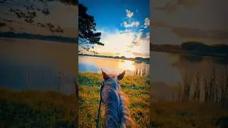 Live is beautiful on a horse back ❤️🐎 #horsebackridinglessons #ordinary #equestrianjourney