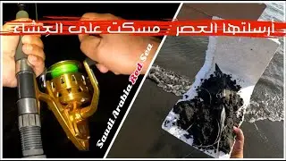 إرسالية فلين .. وصيد سمكة كبيرة