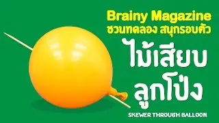 Brainy Magazine : สนุกรอบตัว ตอน ไม้เสียบลูกโป่ง