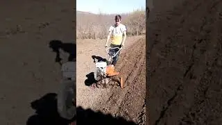 Dac 6500 ACC Prima utilizare pe anul acesta la frezat 😉